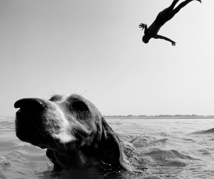 Gallery of Photography by Dimpy Bhalotia - India