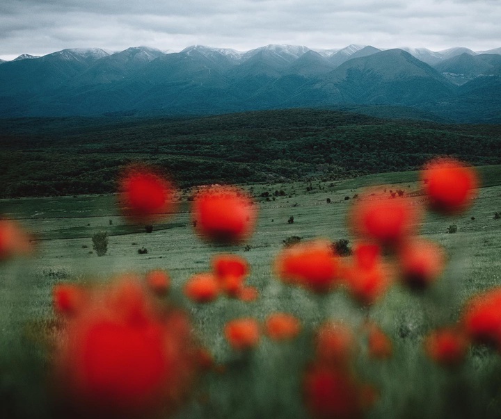 Gallery of photography by Kostya Terentev - Russia