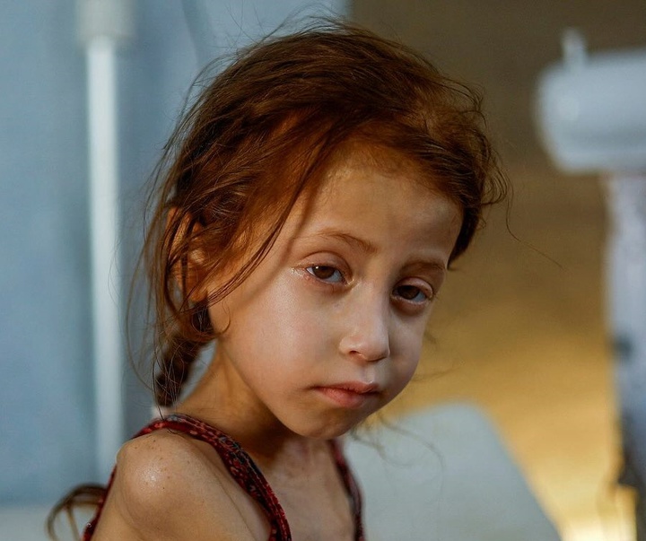 Gallery of Photography by Mohammed Jadallah Salem - GAZA