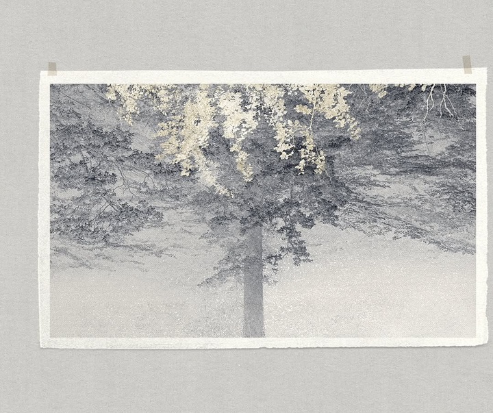 Gallery of Photography by Eva Chupikova - Slovakia