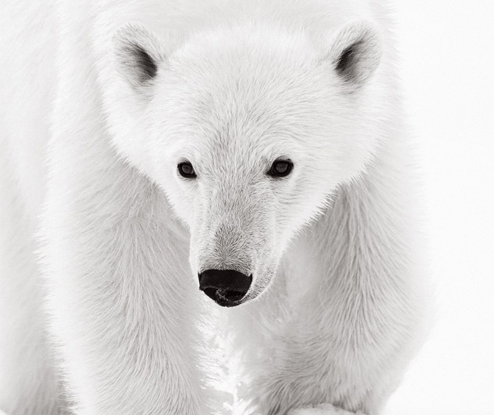 Drew Doggett
