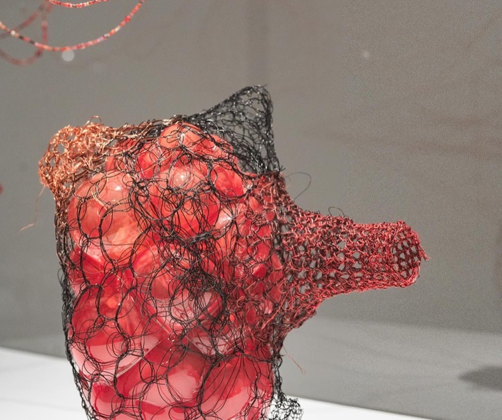 Gallery of Modern Art by Chiharu Shiota - Japan