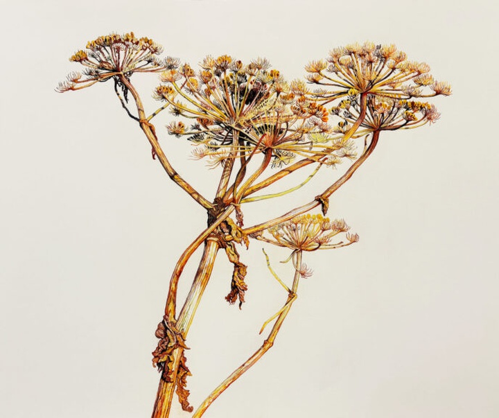 Gallery of Painting & Drawing by Robin Uleman - Netherlands