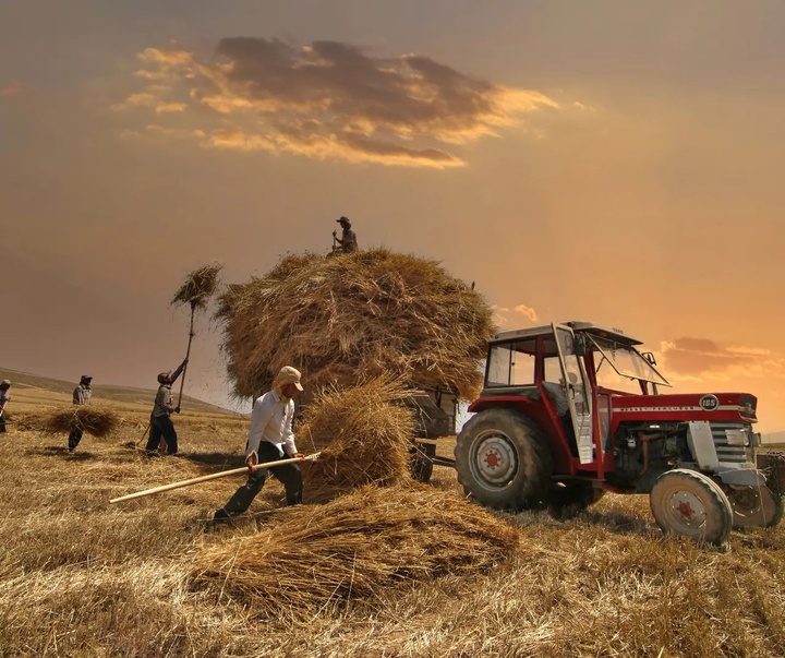 Gallery of photography by Mustafa Shahbaz - Turkey