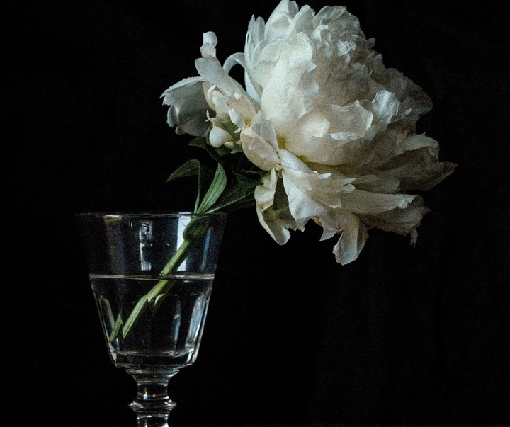 Gallery of Photography by Joe Clarke - UK