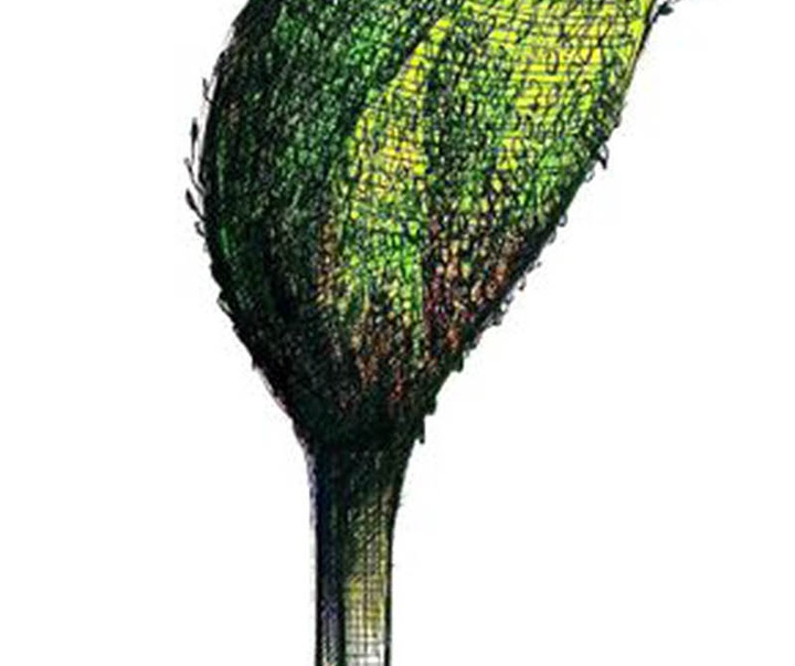 Gallery of Cartoon by Michel Moro Gomez-Cuba