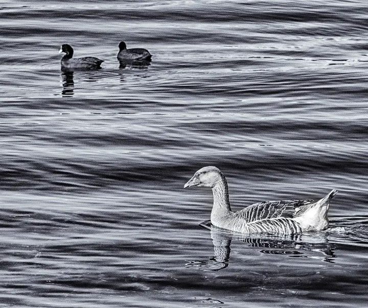 Gallery of Photos by Ahmet Muhtar Taskaya-Turkey