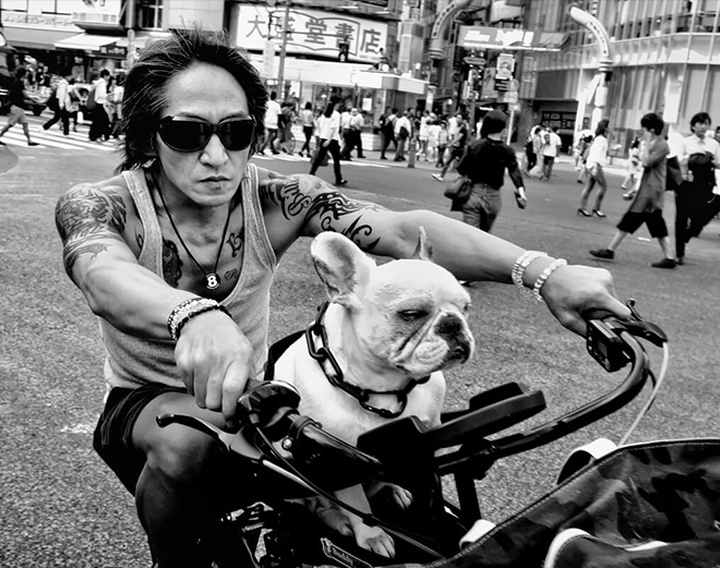 Gallery of Photography by Tatsuo Suzuki - Japan