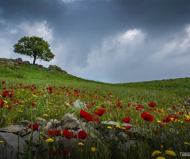 Gallery of photography by Farshad Sorkhi-Iran