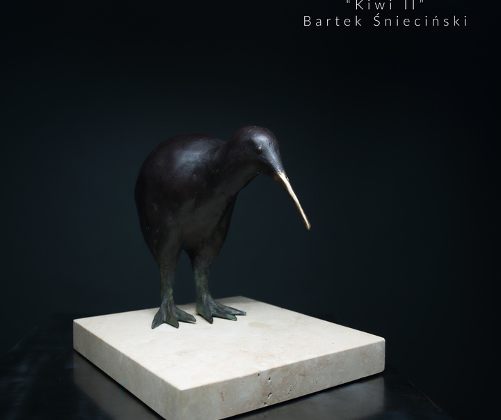 Gallery of Sculpture by Bartek Śnieciński - Poland