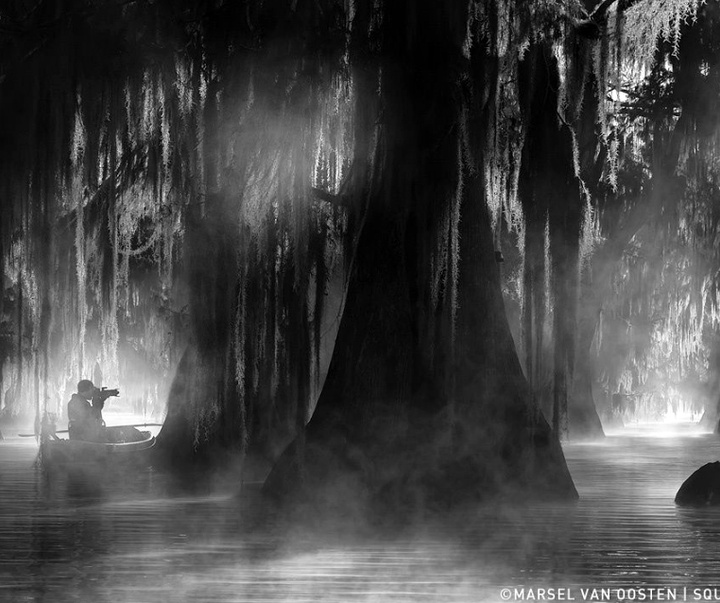 Gallery of Photography by Marsel van Oosten- Netherlands