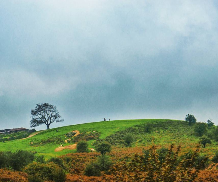 Gallery of photography by Bahman Azizi- Iran