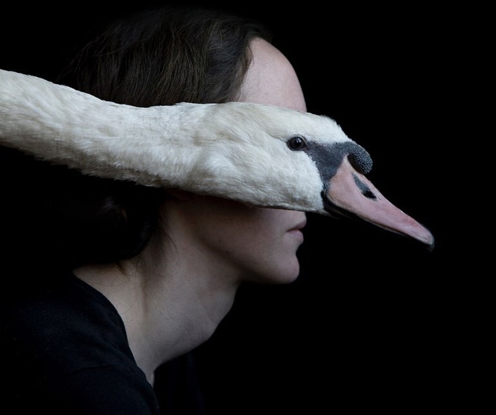 Gallery of Modern Art by Juul Kraijer - Netherlands