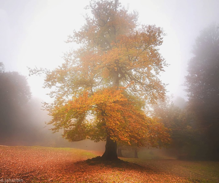 Gallery of Photography by Javad Jahanbin- Iran