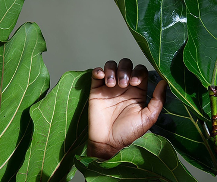 Gallery of Photography by Stefanie Langenhoven - South African