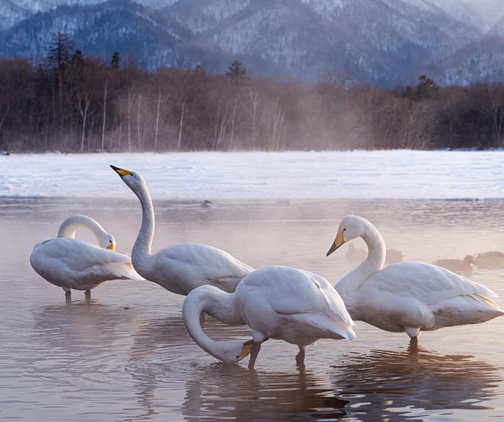 Gallery of Photography by Michael Yamashita - USA