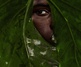 Gallery of Photography by Michael Aboya - Ghana