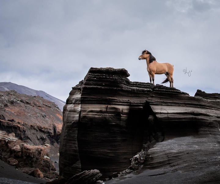 Gallery of photography by Liga Liepina - Iceland