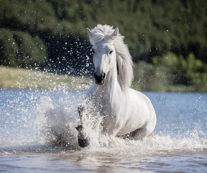 Gallery of photography by Liga Liepina - Iceland