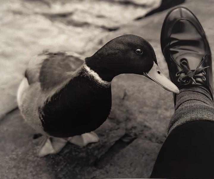 Gallery of Photography by Flor Garduño - Mexico