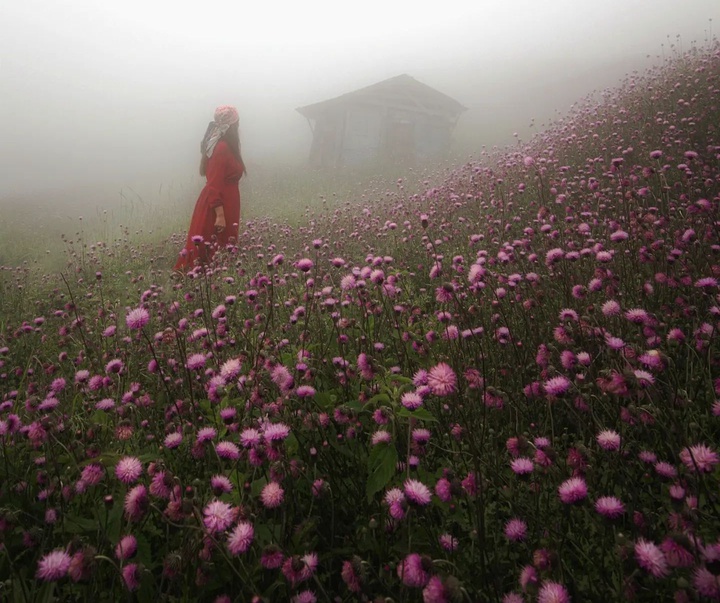 Gallery of Photography by Javad Jahanbin- Iran