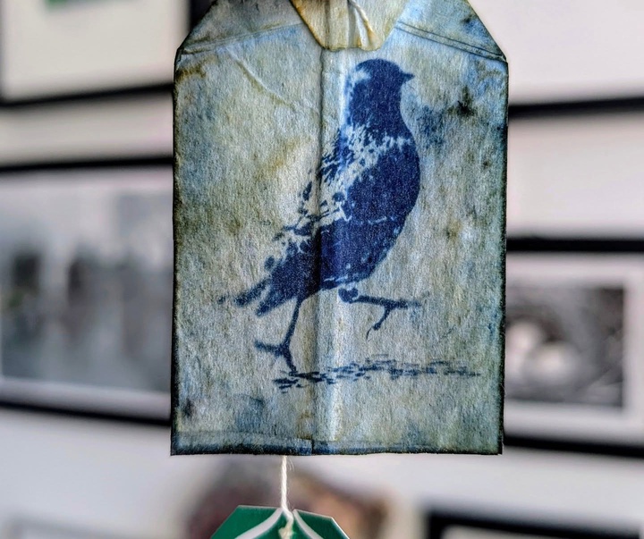 Gallery of Painting & Photography by Jane Constable - UK