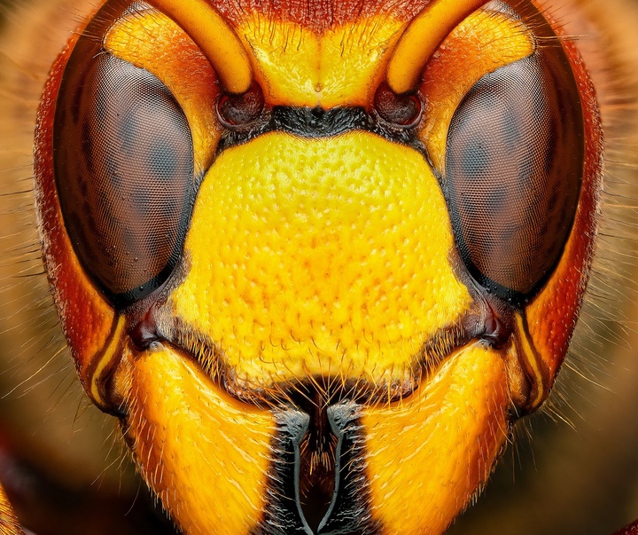 Gallery of Photography by Ben Salb - USA