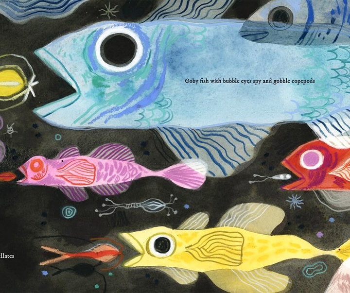 Gallery of Illustration by Felicita Sala - Italy