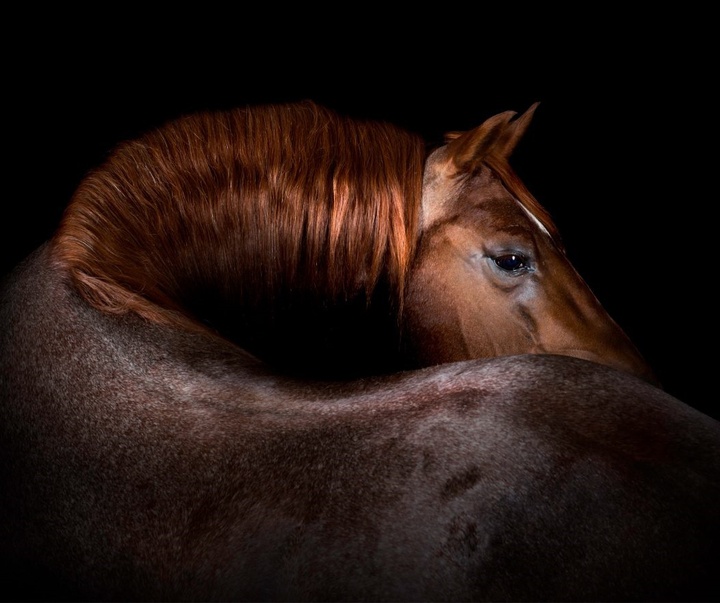Gallery of Photography by Constance Jaeggi - Switzerland