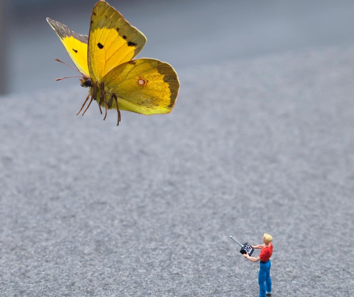 Gallery of Illustration by Slinkachu - England