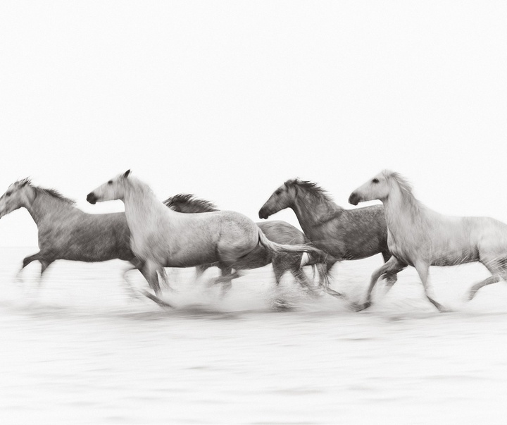 Gallery of Photography by Drew Doggett - USA