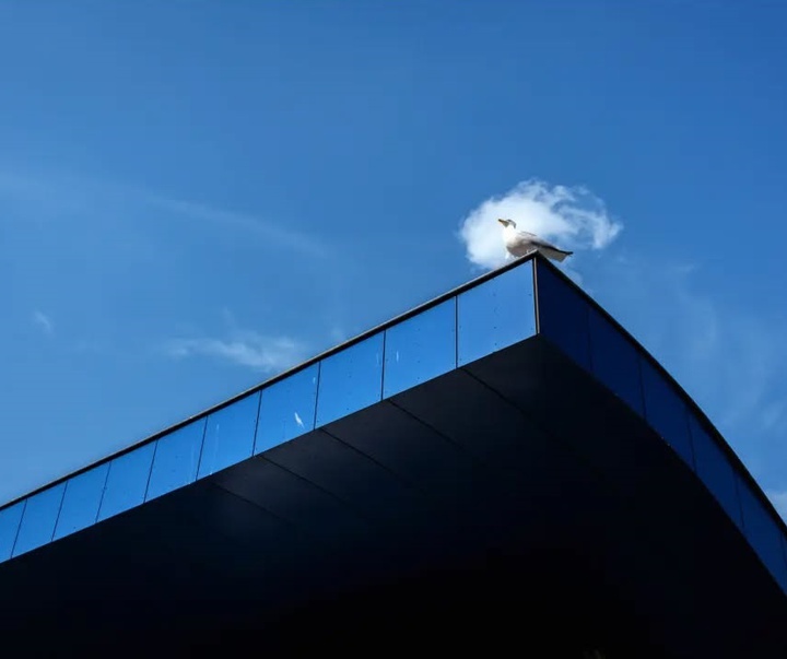 Gallery of Photography by Jeffrey De Keyser - Belgium