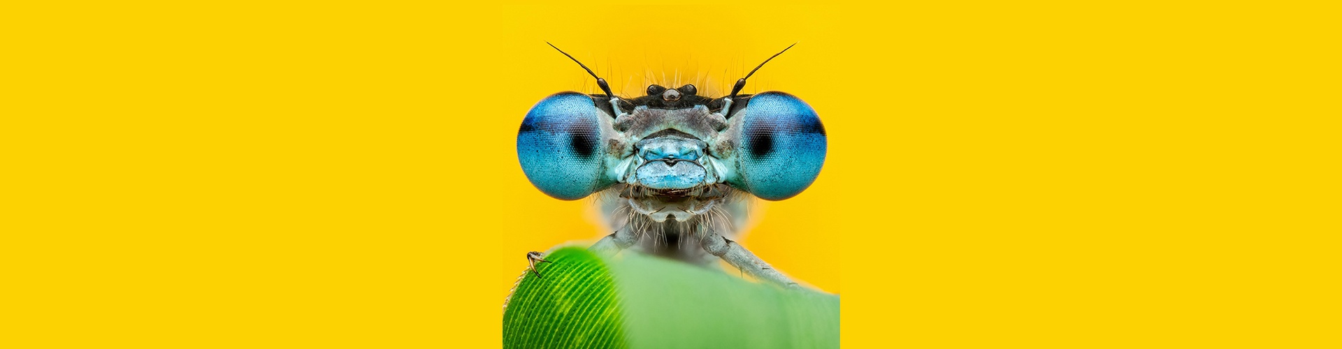 Gallery of Photography by Ben Salb - USA