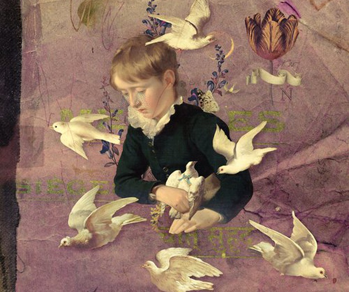 Gallery of Illustration by Eduardo Recife - Brazil
