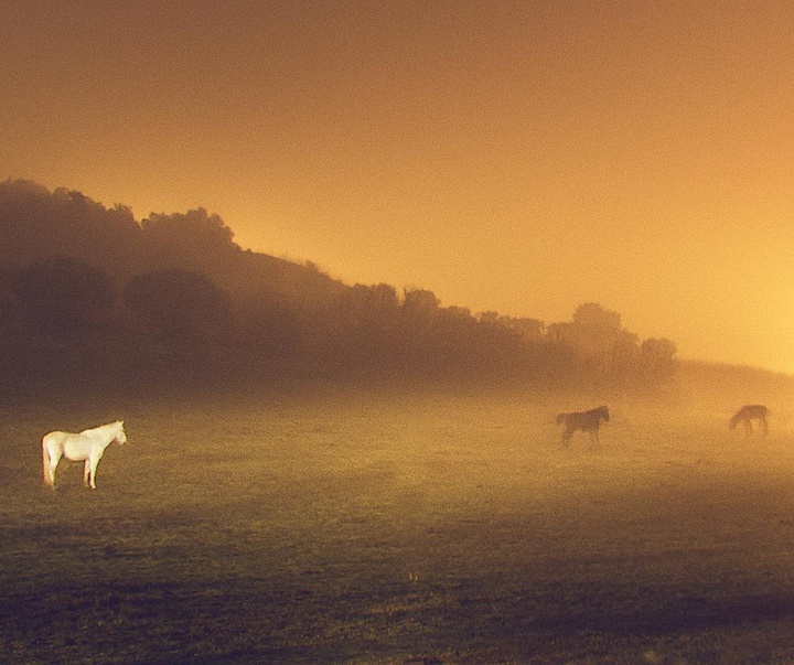 Gallery of Photography by Henri Prestes - Portugal