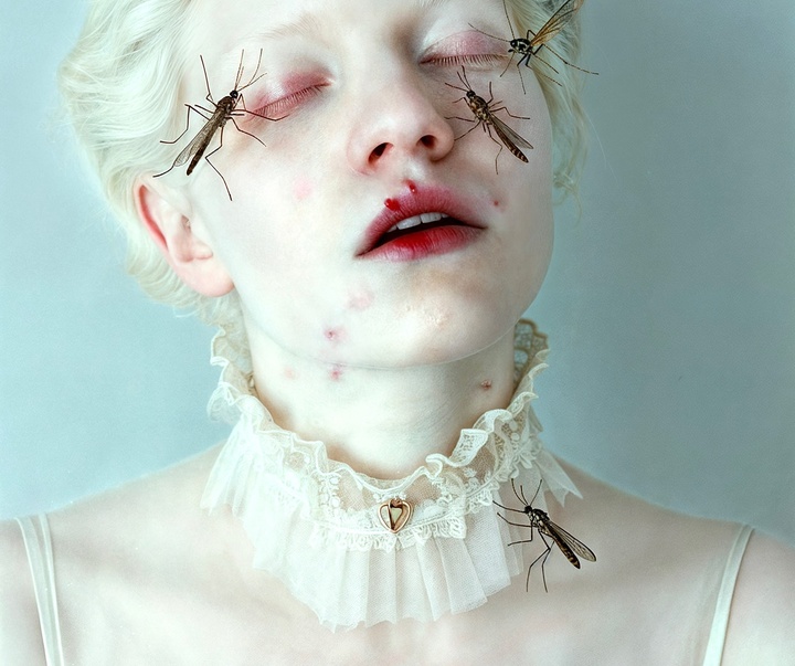 Gallery of Modern Art by Mira Nedyalkova - Bulgaria
