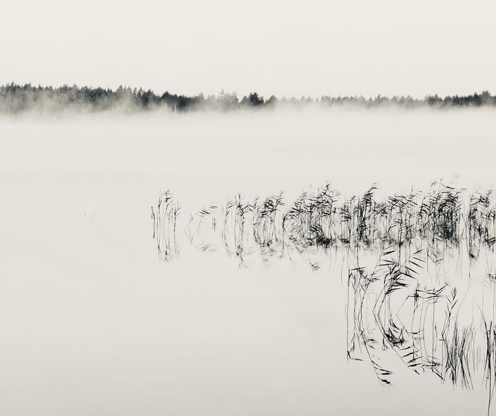 Gallery of Photography by Kalle Saarikko - Finland