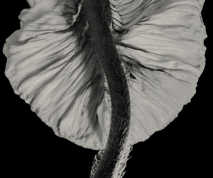 Gallery of Photography by Joe Clarke - UK