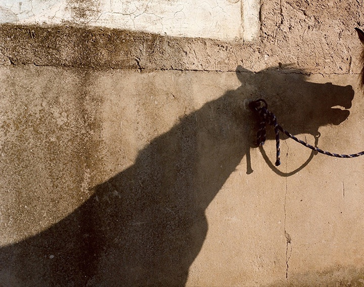 Gallery of Photography by laura pannack - UK