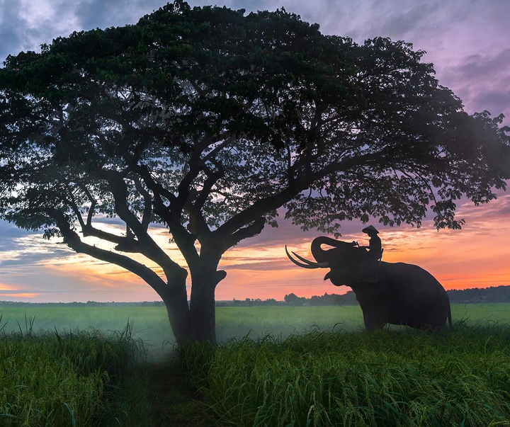 Gallery of Photography by Mahendra Bakle - India