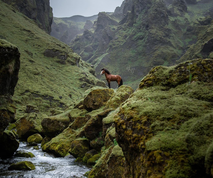 Gallery of photography by Liga Liepina - Iceland