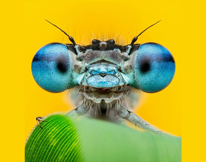 Gallery of Photography by Ben Salb - USA