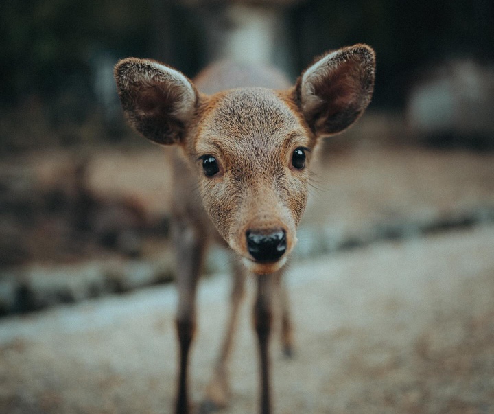 Gallery of Photography by Luke Stackpoole - UK