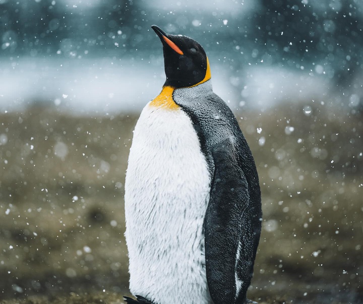 Gallery of Photography by Luke Stackpoole - UK