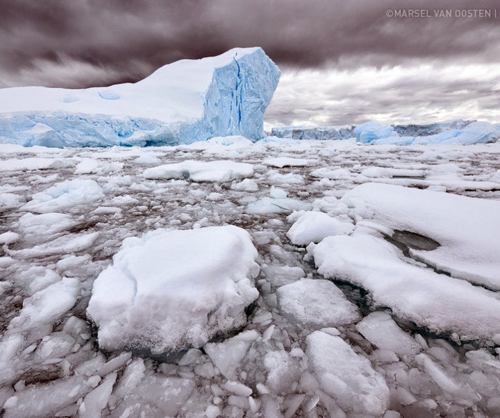 Gallery of Photography by Marsel van Oosten- Netherlands