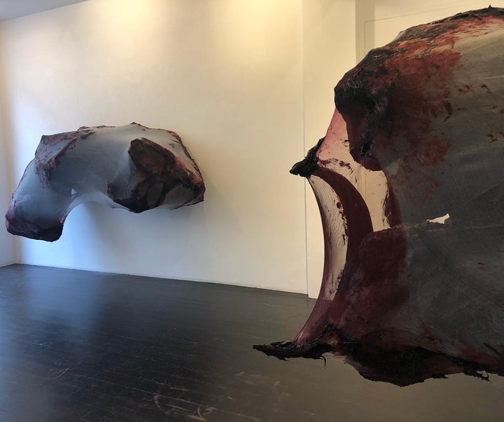 Gallery of Sculpture by Anish Kapoor - India