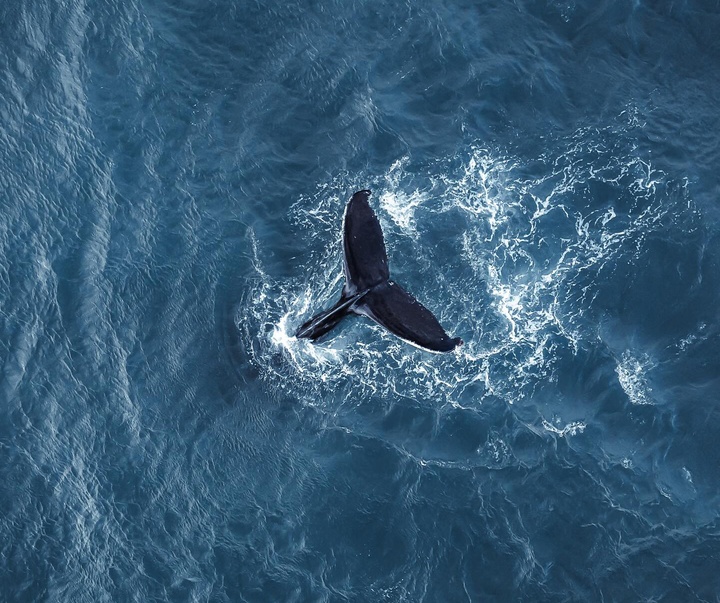 Gallery of Photography by Dani Guindo - Spain