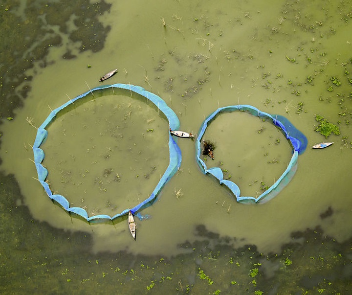 Gallery of Photography by Shamim Shorif Susom - Bangladesh