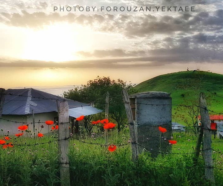 Gallery of Photography by Forouzan Yektaee-Iran