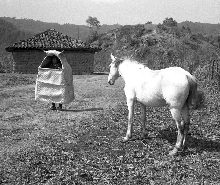 Gallery of Photography by Flor Garduño - Mexico